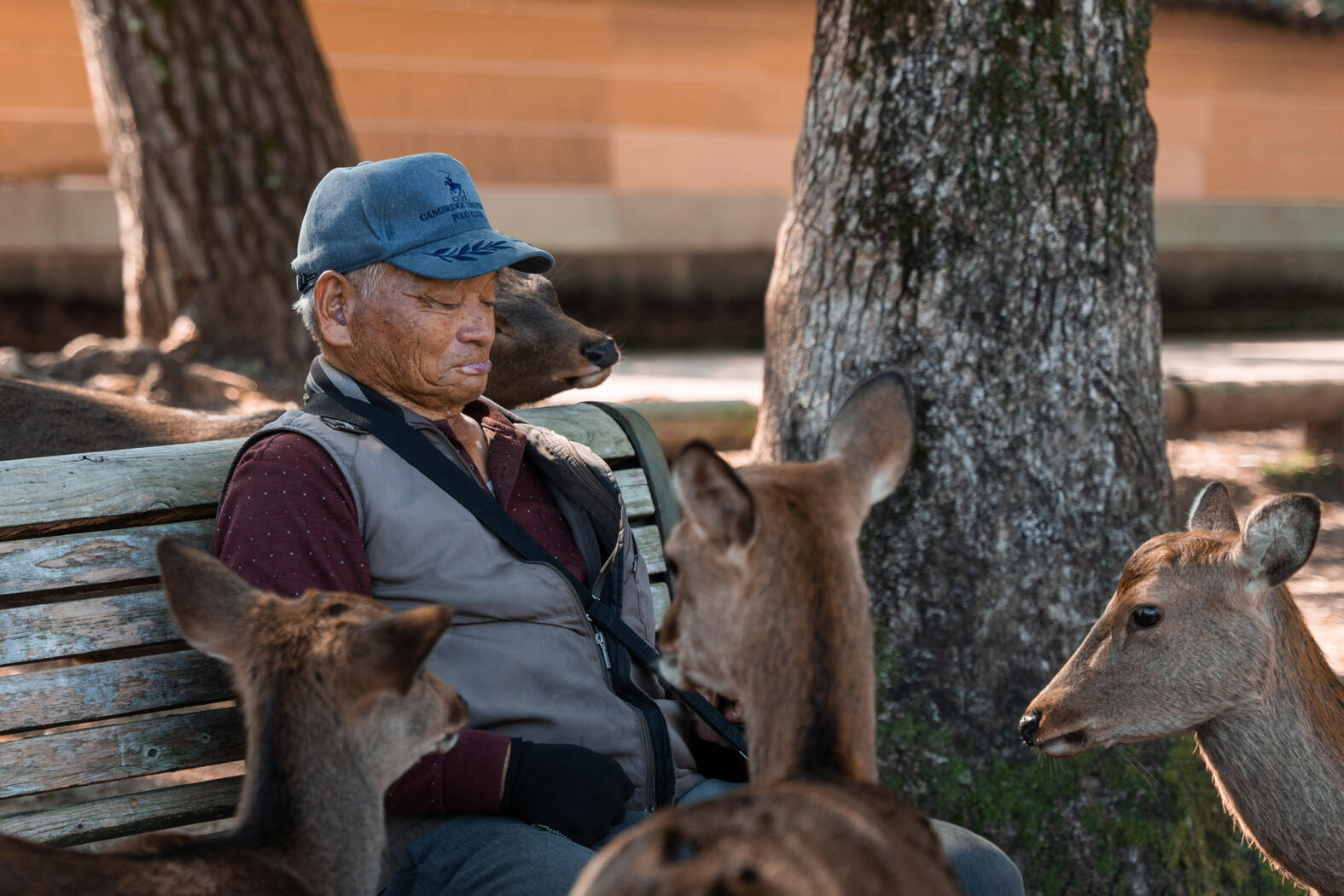 Nara Japan